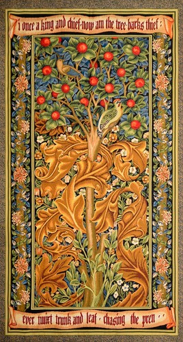 Tapestry woodpecker - tapestry,
