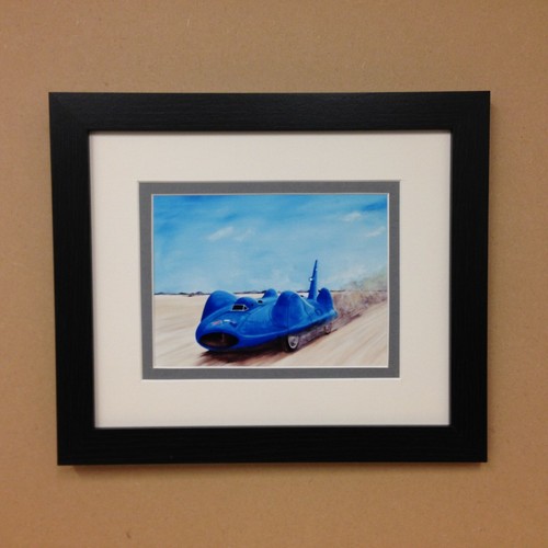 Bluebird proteus cn7 - bluebird,