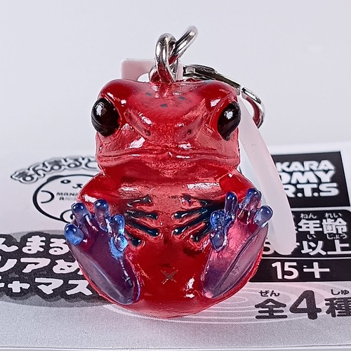 Poison dart frog manmaru - poison,