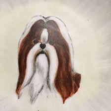 Hand painted Ceramic Art LHASA,LASA APSO SHIH TZU,shitzu Dog Pin Dish,Plaque