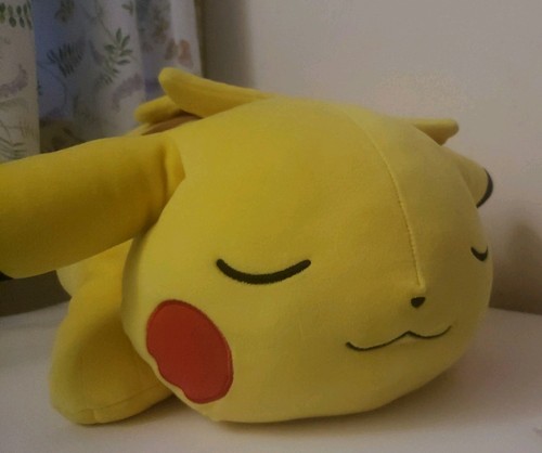 Big sleeping pikachu - big,