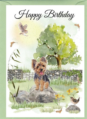 Yorkshire terrier dog - terrier, (4"x