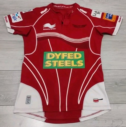 Llanelli scarlets rugby - scarlets, home