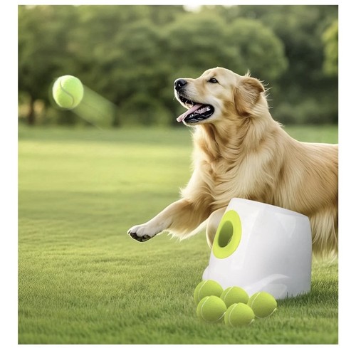All for paws - paws, interactive