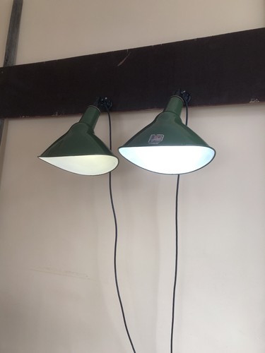 Industrial pair benjamin - pair,