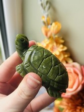 Green Serpentine Turtle