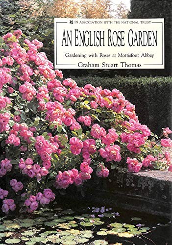 English rose garden - rose,