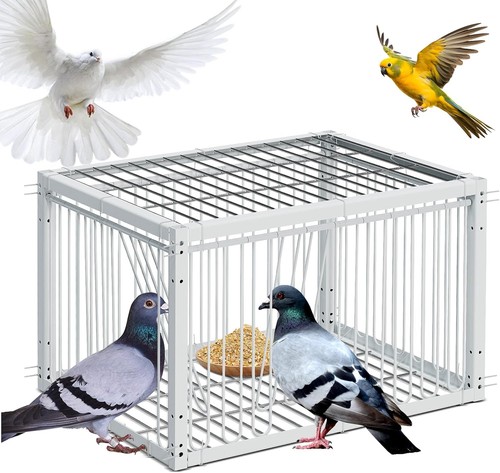 Pigeon trap cage - pigeon,