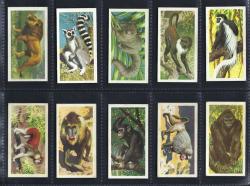 Brooke bond tropical birds - brooke,
