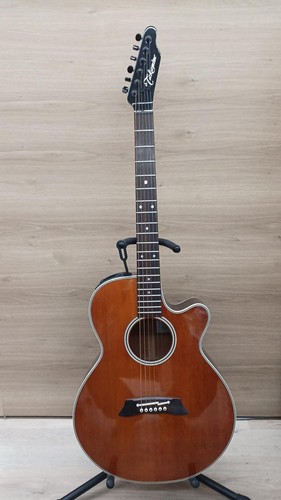 Takamine 106 acoustic - takamine, pt-106-6