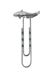 F46 wells Catfish fine English