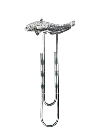 F46 wells catfish fine - wells,