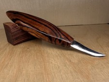 Beautiful Desert Ironwood