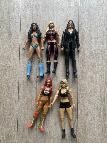 Wwe women wrestling figures - wwe,