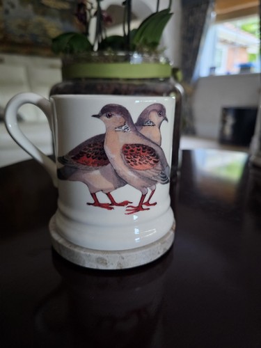 Emma bridgewater turtle - turtle, doves