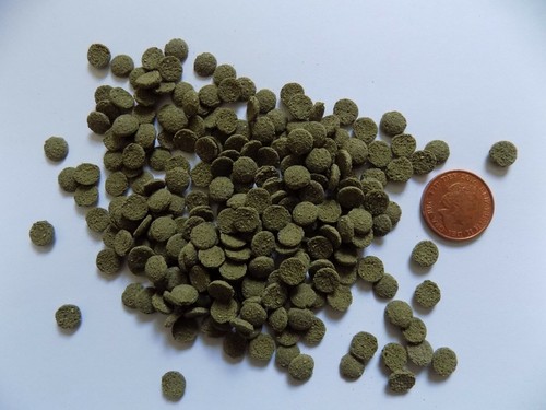 Spirulina wafer algae small - wafer,