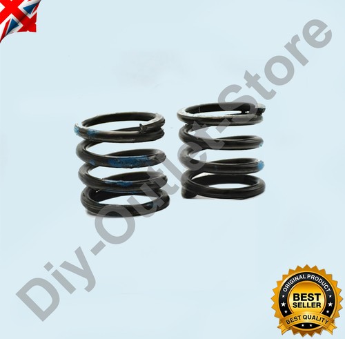 Oil pump spring zigzag - pump,