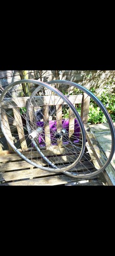 36h miche campagnolo - 36h,