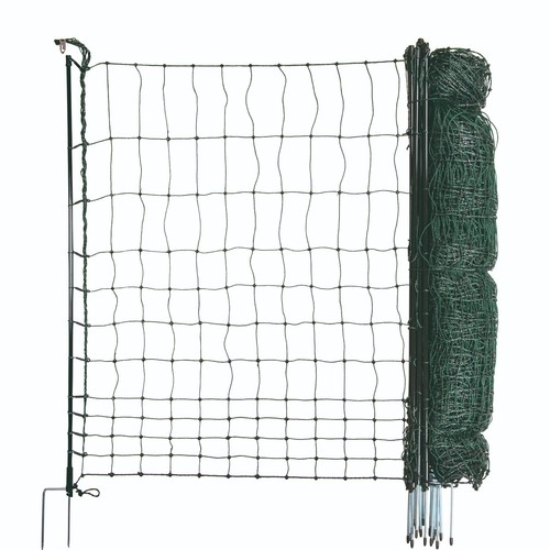 Electric poultry netting - poultry,