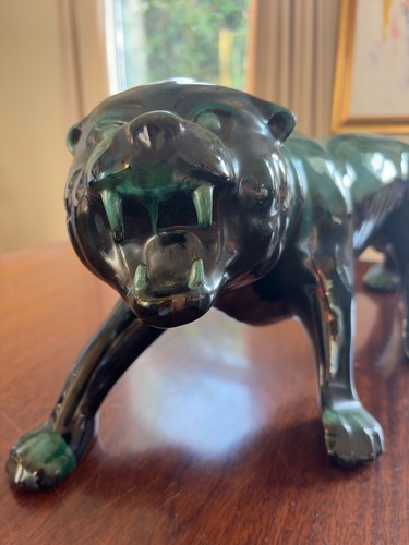 Impressive large black panther - impressive,