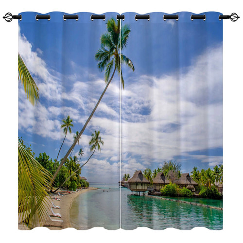 Palm tree tropical beach - tree,