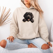 Newfoundland Puppy Dog Animals