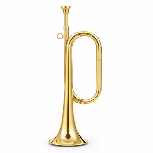 Straight bugle polished - bugle,