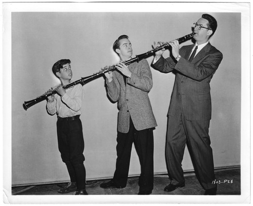 Die benny goodman story steve - goodman,