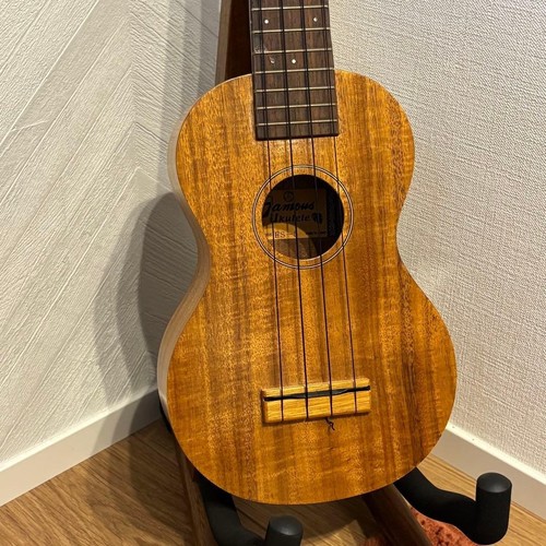 Famous ukulele solid - famous,