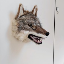 Handmade Realistic Wolf Head