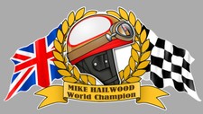 Mike HAILWOOD Helmet Flags
