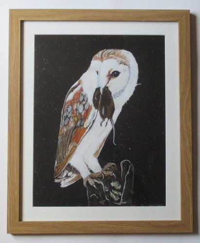 Howes barn owl with prey - r,