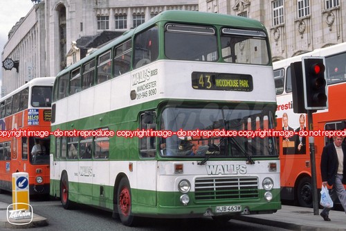 Bus photo wall - bus,