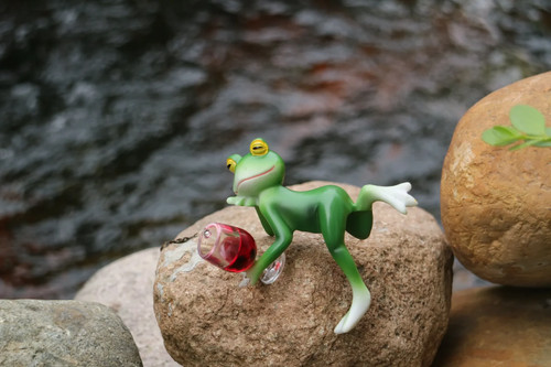 Frog hanging flower pot - hanging,