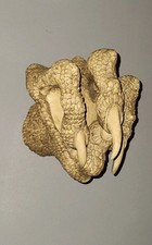 Halloween Decor/Dungeons & Dragons Realistic Dragon Claw Wall Sculpture Rare