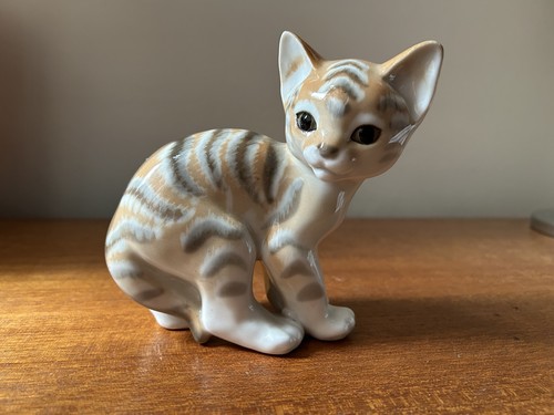 Lomonosov ginger tabby kitten - tabby,