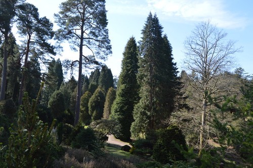 Photo 6x4 bedgebury - photo,