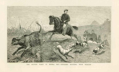 1877 antique print - antique,