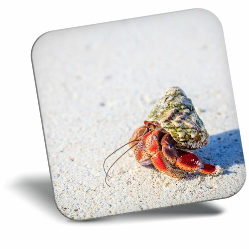 Awesome fridge magnet hermit - fridge,