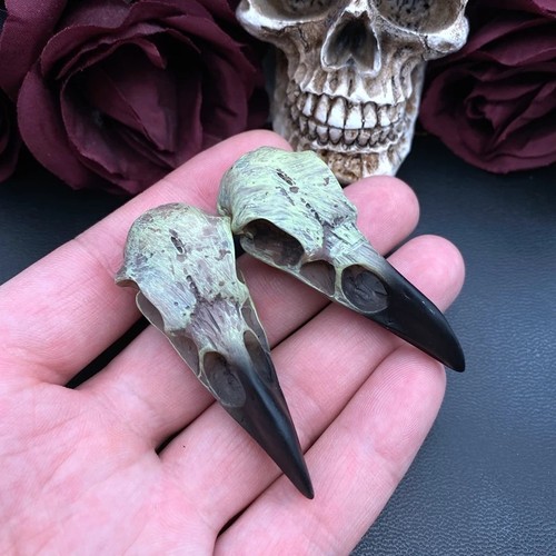 2pcs crow skull - 2pcs,