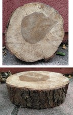 Wood Log slice of tree wood fairly flat diameter 74cm w6cm