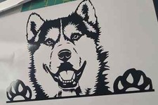 1x Husky Wolf Dog Vinyl