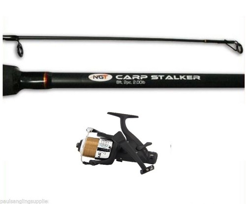 Carp fishing stalker - ,