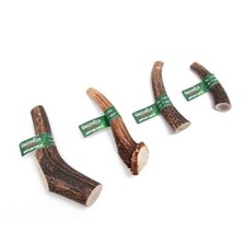 Green Elk Full Antler Dog Chew
