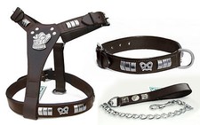 STAFFY BULL TERRIER LEATHER