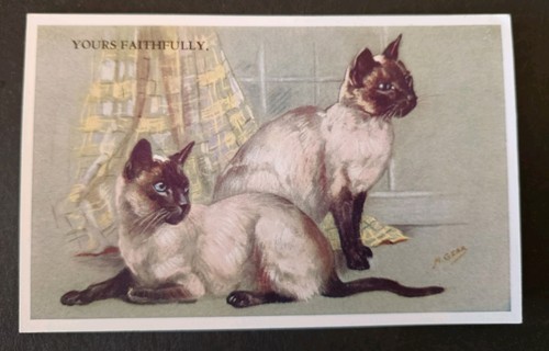 Mabel gear postcard - gear, siamese