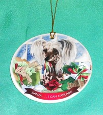 Chinese Crested dog with