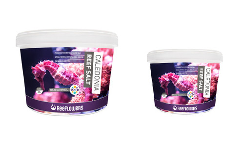 Reeflowers caledonia reef salt - reef,
