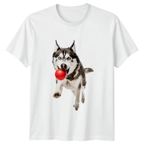 Siberian husky jumping red - husky,