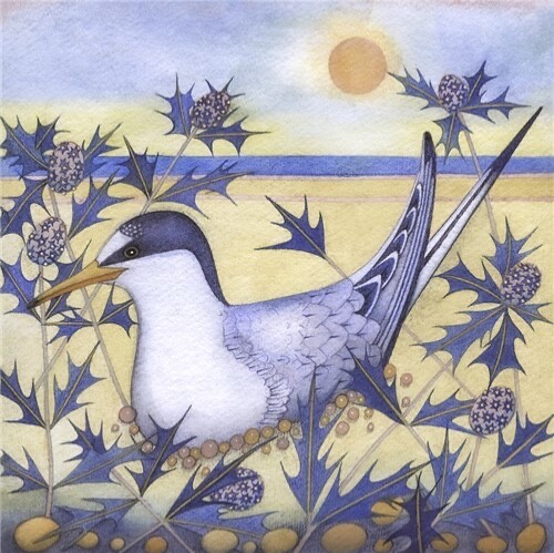 Little tern art - little,